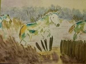 aquarelle-chevaux-en-camargue-dim2.jpg