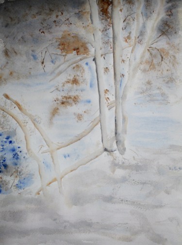 arbres au bord du lac des Settons en hiver